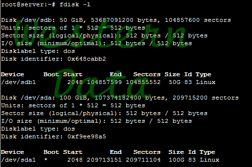 Mounting-of-additional-hard-disks-in-Linux-6