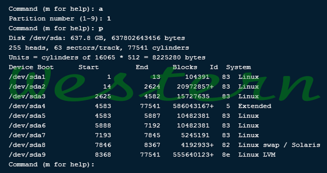 10.How-to-Disable-Boot-Flag-of-a-Partition-3